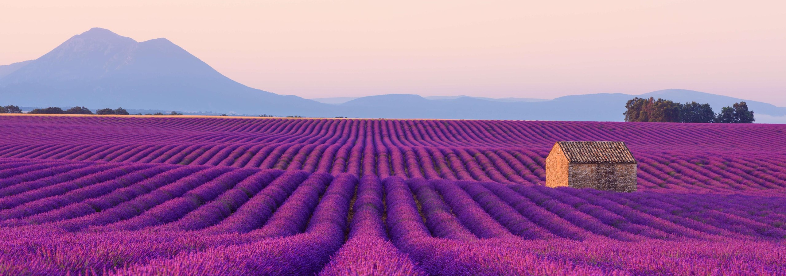 Provence2